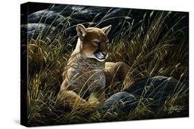 Cougar in the Grass-Wilhelm Goebel-Stretched Canvas