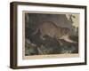 Cougar or Panther-Mannevillette Elihu Dearing Brown-Framed Giclee Print