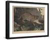 Cougar or Panther-Mannevillette Elihu Dearing Brown-Framed Giclee Print