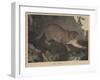 Cougar or Panther-Mannevillette Elihu Dearing Brown-Framed Giclee Print