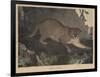 Cougar or Panther-Mannevillette Elihu Dearing Brown-Framed Giclee Print