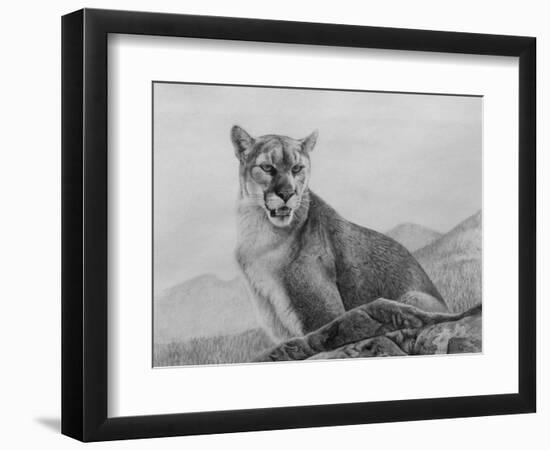 Cougar Study-Rusty Frentner-Framed Giclee Print