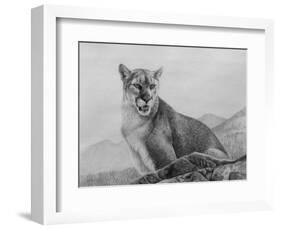 Cougar Study-Rusty Frentner-Framed Giclee Print