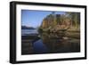 Cougar Walking along the Kettle River-W. Perry Conway-Framed Photographic Print