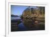 Cougar Walking along the Kettle River-W. Perry Conway-Framed Photographic Print