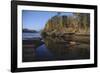 Cougar Walking along the Kettle River-W. Perry Conway-Framed Photographic Print