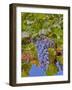 Cougar Winery Grapes II-Lee Peterson-Framed Photographic Print