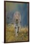 Cougar-DLILLC-Framed Photographic Print