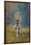 Cougar-DLILLC-Framed Photographic Print