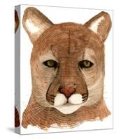 Cougar-Jeannine Saylor-Stretched Canvas