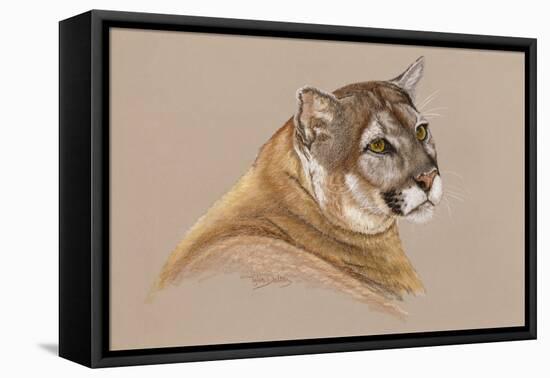 Cougar-Barbara Keith-Framed Stretched Canvas