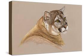 Cougar-Barbara Keith-Stretched Canvas