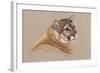 Cougar-Barbara Keith-Framed Giclee Print