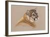 Cougar-Barbara Keith-Framed Giclee Print