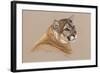 Cougar-Barbara Keith-Framed Giclee Print