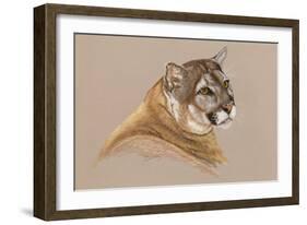 Cougar-Barbara Keith-Framed Giclee Print