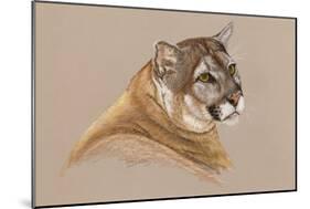 Cougar-Barbara Keith-Mounted Giclee Print