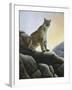 Cougar-Rusty Frentner-Framed Giclee Print