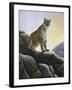 Cougar-Rusty Frentner-Framed Giclee Print