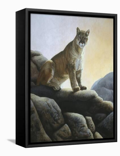 Cougar-Rusty Frentner-Framed Stretched Canvas