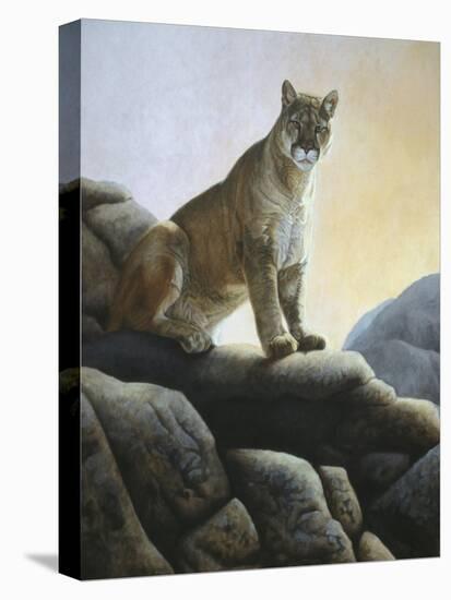 Cougar-Rusty Frentner-Stretched Canvas