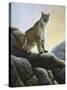 Cougar-Rusty Frentner-Stretched Canvas