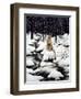 Cougar-Jeff Tift-Framed Premium Giclee Print