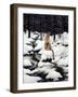 Cougar-Jeff Tift-Framed Giclee Print