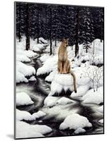 Cougar-Jeff Tift-Mounted Giclee Print