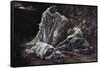 Could Ye Not Watch with Me One Hour-James Tissot-Framed Stretched Canvas