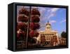 Council House, Market Square, Nottingham, Nottinghamshire, England, United Kingdom-Neale Clarke-Framed Stretched Canvas