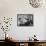 Count and Countess Emanuele Borromeo D'Adda, Relaxing in their Home in Rome-Carl Mydans-Framed Stretched Canvas displayed on a wall