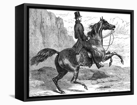 Count D'Orsay Riding-null-Framed Stretched Canvas