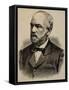 Count Edoardo De Launay. Italian Ambassador of Berlin, 1867-1892.. 19th Century-null-Framed Stretched Canvas