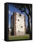 Count's Tower, San Sebastian, La Gomera, Canary Islands, Spain, Europe-Rolf Richardson-Framed Stretched Canvas