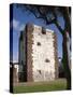 Count's Tower, San Sebastian, La Gomera, Canary Islands, Spain, Europe-Rolf Richardson-Stretched Canvas