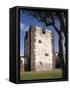 Count's Tower, San Sebastian, La Gomera, Canary Islands, Spain, Europe-Rolf Richardson-Framed Stretched Canvas