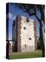 Count's Tower, San Sebastian, La Gomera, Canary Islands, Spain, Europe-Rolf Richardson-Stretched Canvas