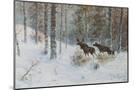 Wood Mount