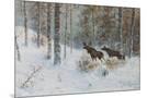 Wood Mount
