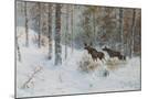 Wood Mount