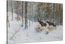 Stretched Canvas
