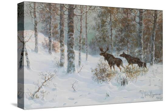 Stretched Canvas Print, , large