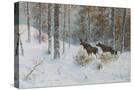 Stretched Canvas