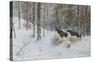 Stretched Canvas
