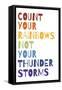 Count Your Rainbows Warm-Wild Apple Portfolio-Framed Stretched Canvas