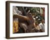 Counterbass with Trumpet Player, Part of Traditional Band Playing in a Cafe, Habana Vieja, Cuba-Eitan Simanor-Framed Photographic Print