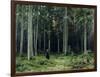 Countess Mordvinov's Forest, 1891-Ivan Ivanovitch Shishkin-Framed Giclee Print