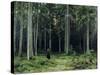 Countess Mordvinov's Forest, 1891-Ivan Ivanovitch Shishkin-Stretched Canvas