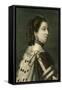 Countess Northumberland-null-Framed Stretched Canvas